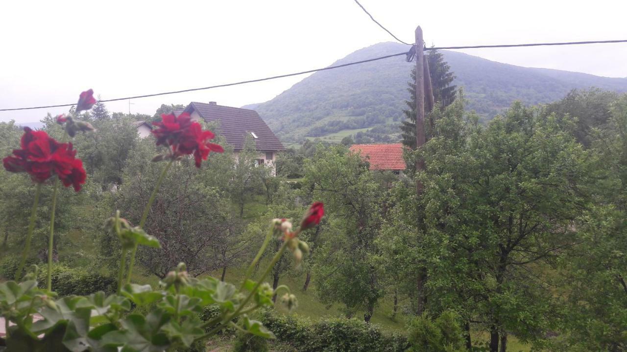 Apartment Plitvicka Jezera Smoljanac Kültér fotó
